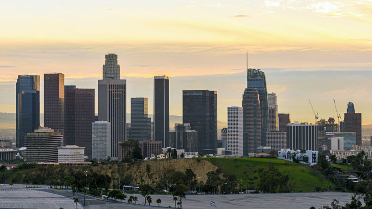 Los Angeles Fire & Police build up credit, buyout and RE programs