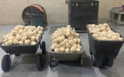 meth found in load of jicama