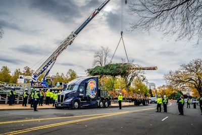 Tree Delivery